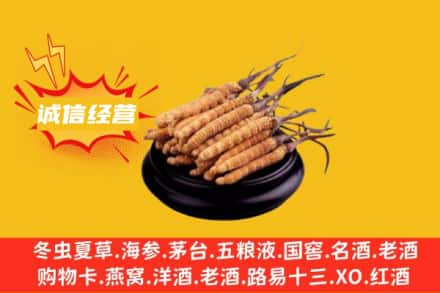 德宏州盈江县回收冬虫夏草